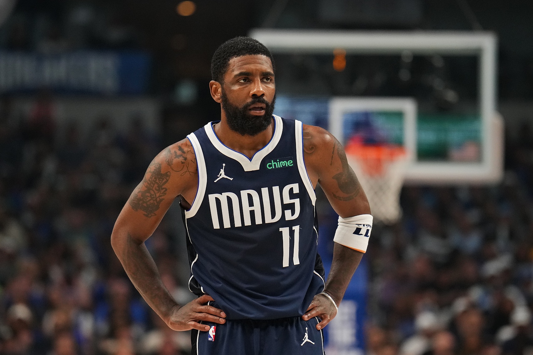 入了強大的 入了強大的