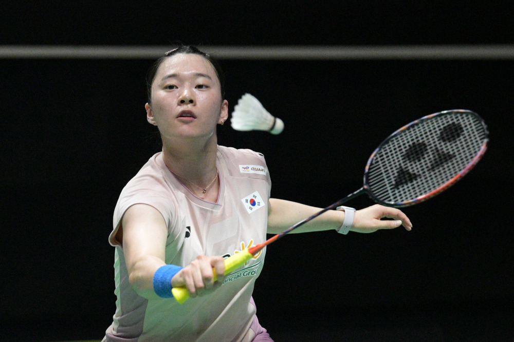 香港年轻球 香港年轻球