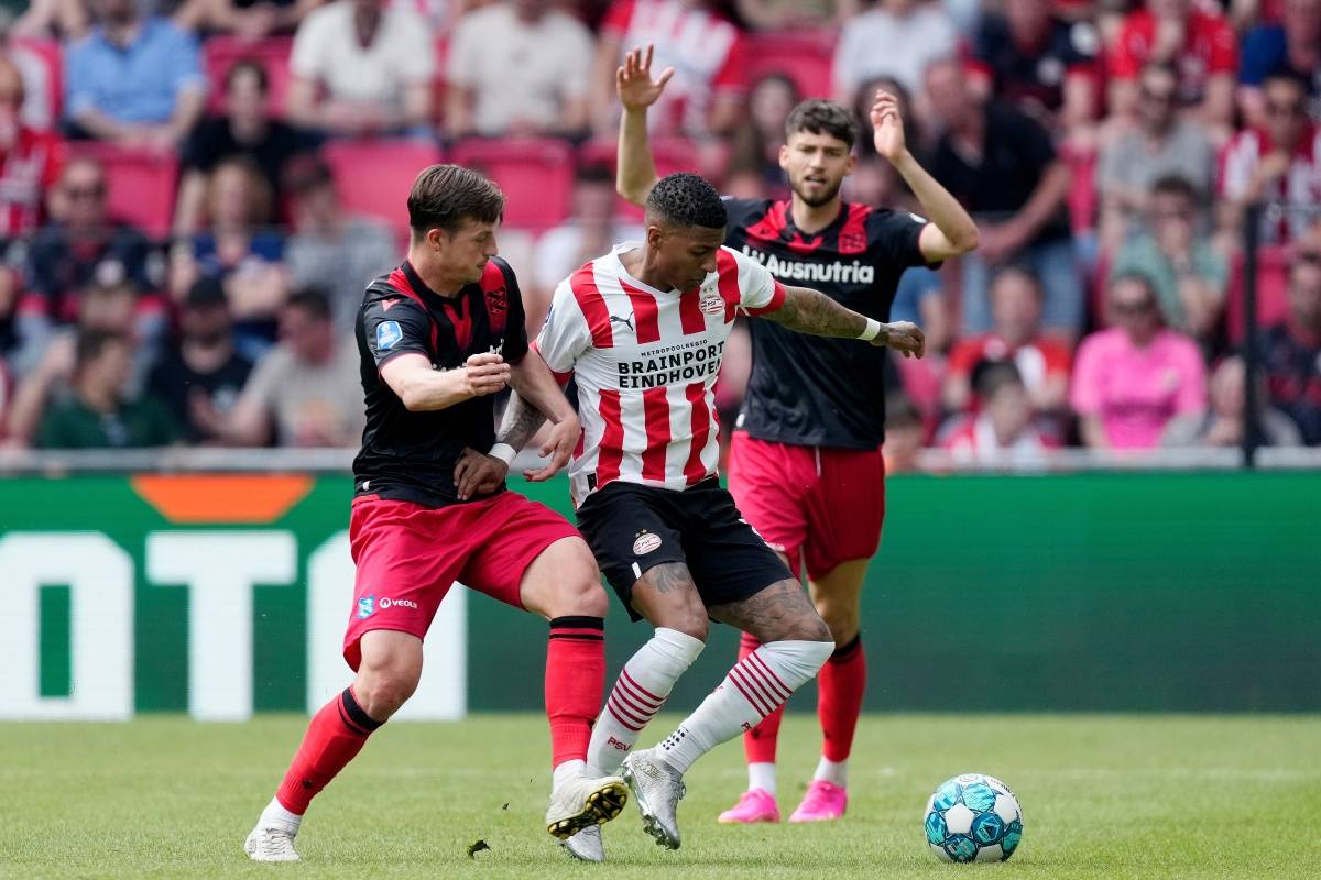 高芙轮番发 高芙轮番发