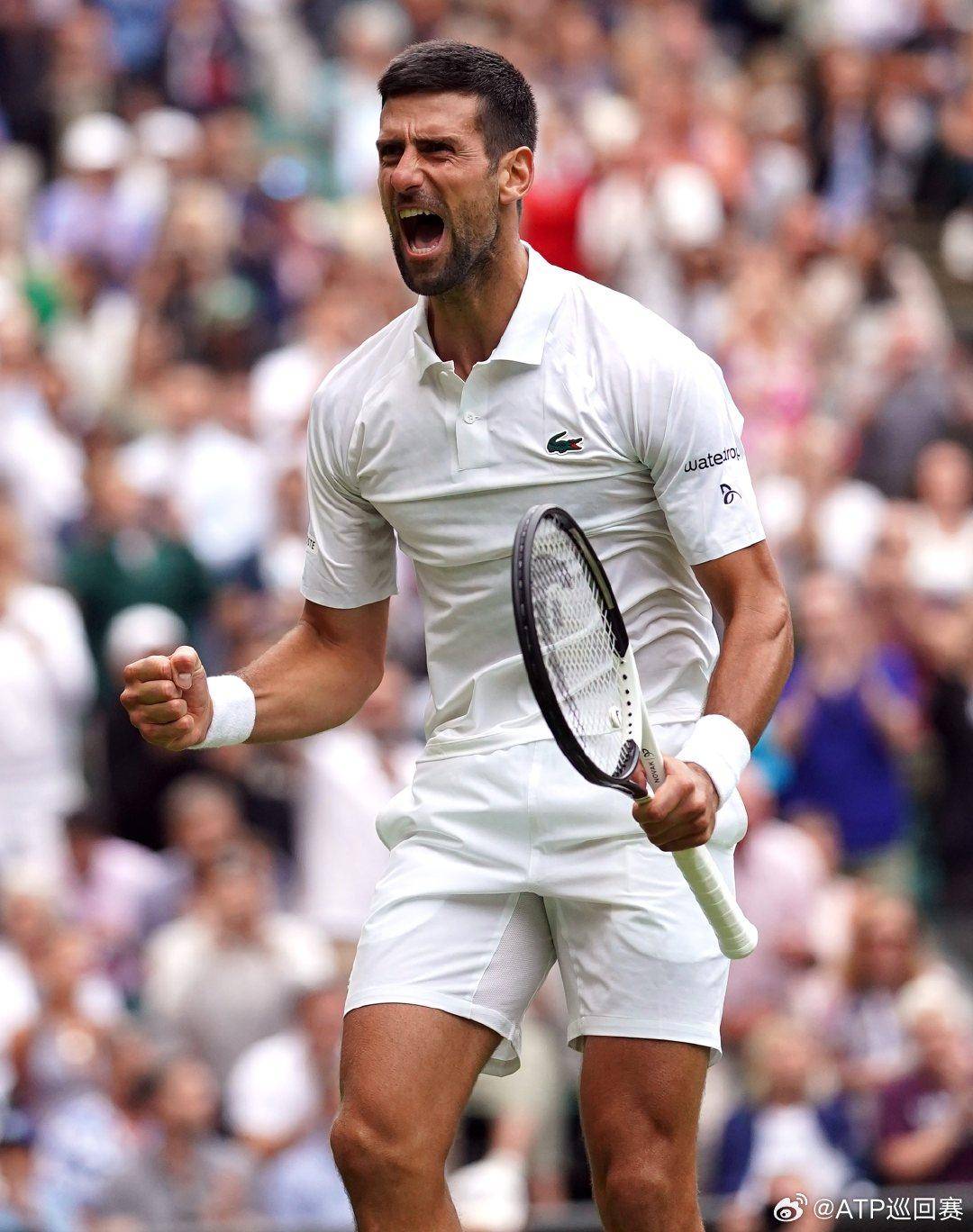 接连打破马 接连打破马