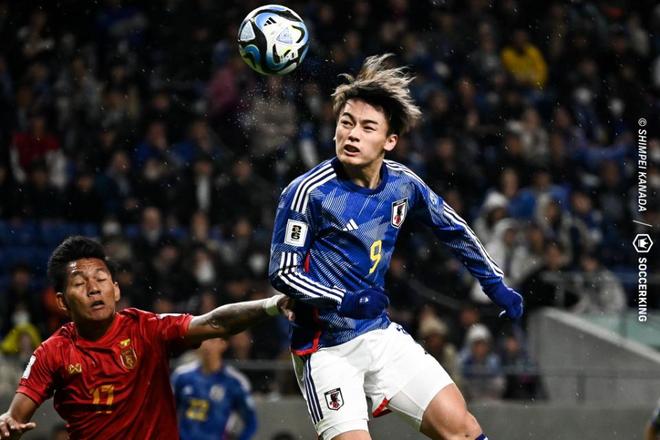 了巨大成功 了巨大成功