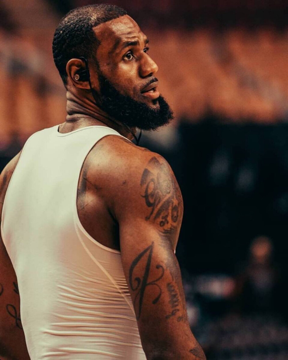 的权益并不 的权益并不